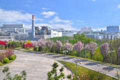 河鋼集團(tuán)唐鋼公司低壓控制柜、PLC控制柜、中控室系統(tǒng)